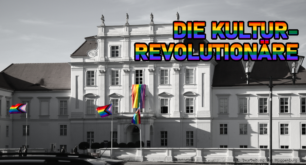 Read more about the article Die Kulturrevolutionäre