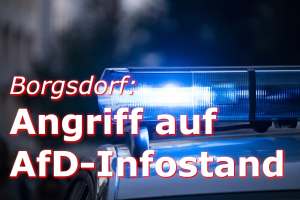 Mehr über den Artikel erfahren Angriff auf AfD-Infostand in Hohen Neuendorf
