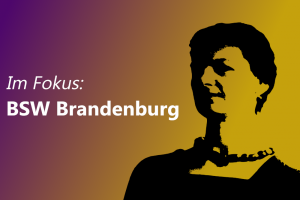 Mehr über den Artikel erfahren BSW Brandenburg im Fokus: Rat für Ethische Aufklärung fordert Stellungnahme