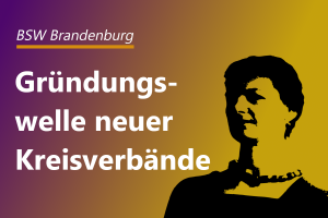 Mehr über den Artikel erfahren BSW Brandenburg startet Gründungswelle von Kreisverbänden