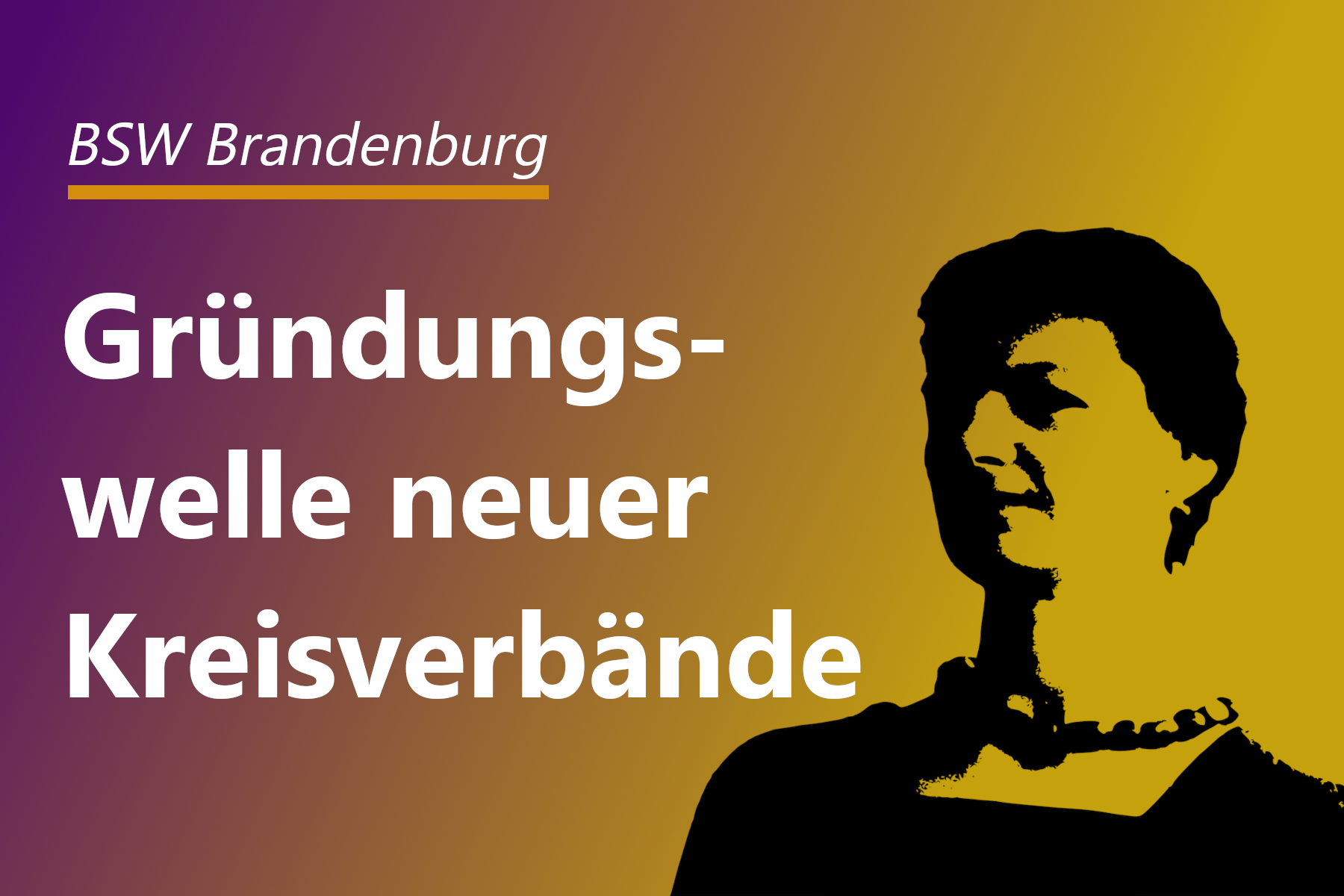 Mehr über den Artikel erfahren BSW Brandenburg startet Gründungswelle von Kreisverbänden