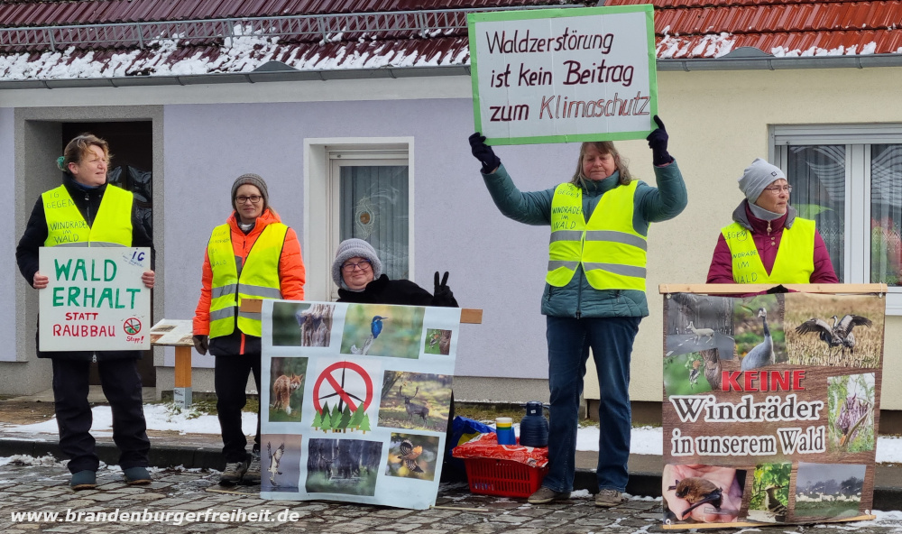 Mehr über den Artikel erfahren Trotz Genehmigungsbescheid: Sechs Frauen kämpfen weiter gegen Windkraftanlagen in der Rüthnicker Heide